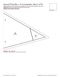 Page 24 of the Spread-Wing Bat Quilt Block Pattern PDF