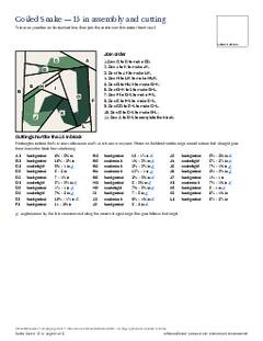 Page 31 of the Coiled Snake Quilt Block Pattern PDF