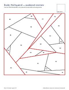 Page 3 of the Bushy-Tail Squirrel Quilt Block Pattern PDF