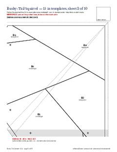 Page 21 of the Bushy-Tail Squirrel Quilt Block Pattern PDF