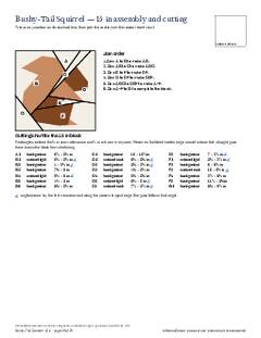 Page 29 of the Bushy-Tail Squirrel Quilt Block Pattern PDF